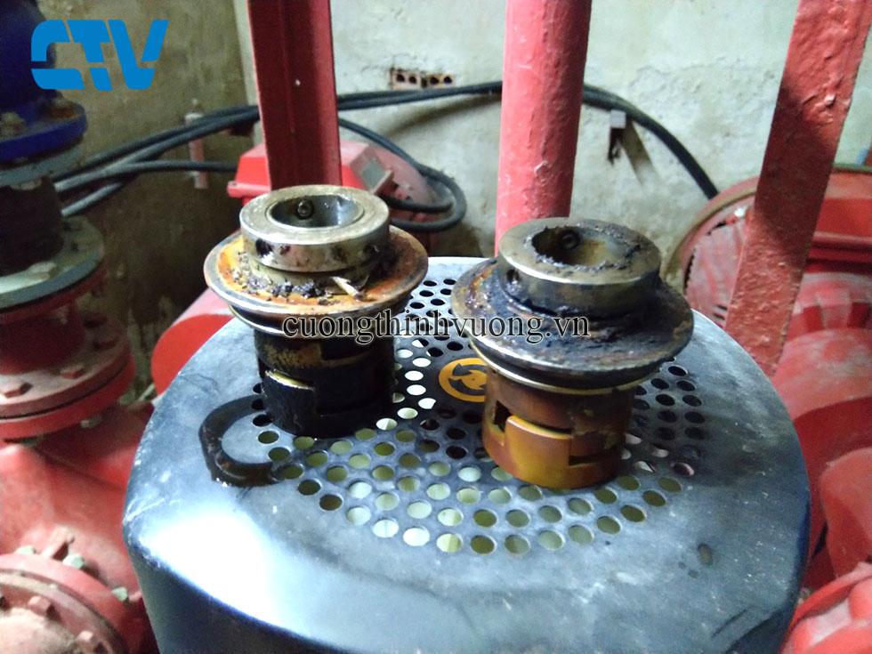 Thay phớt máy bơm trục đứng Teral chất lượng, giá rẻ nhất