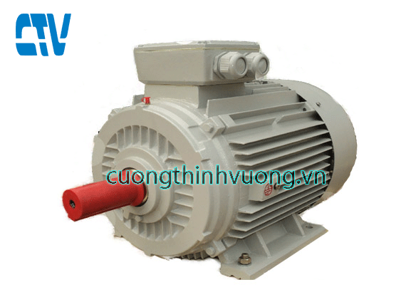 Động cơ điện ESC