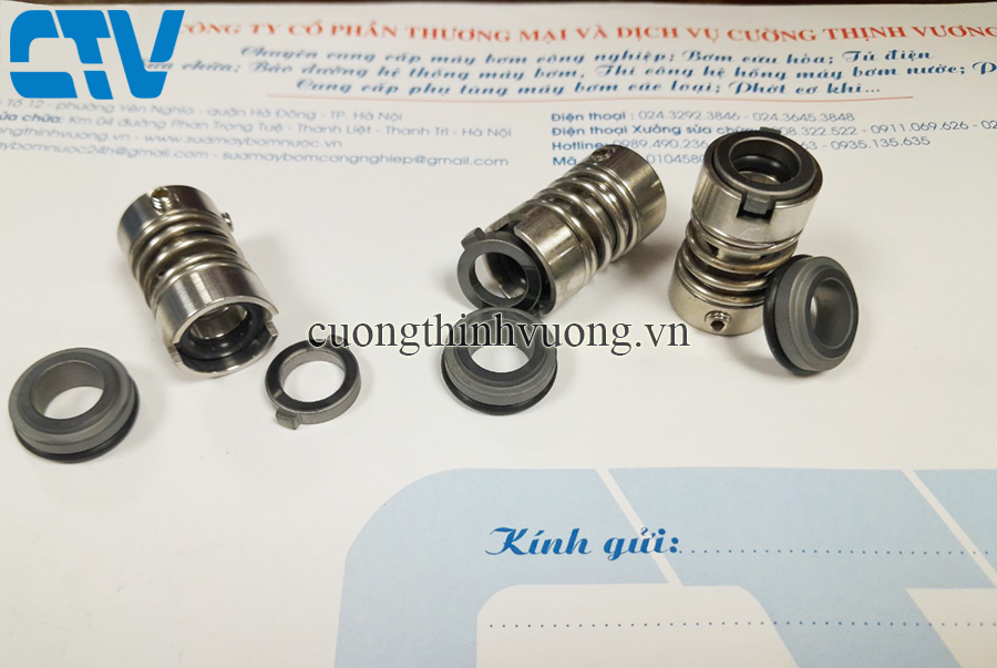 Phớt trục đứng (Phớt cơ khí) Dragon DVM 42-110